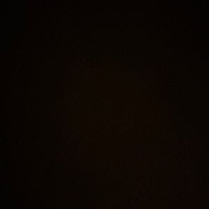 Meet your Posher, Winnie